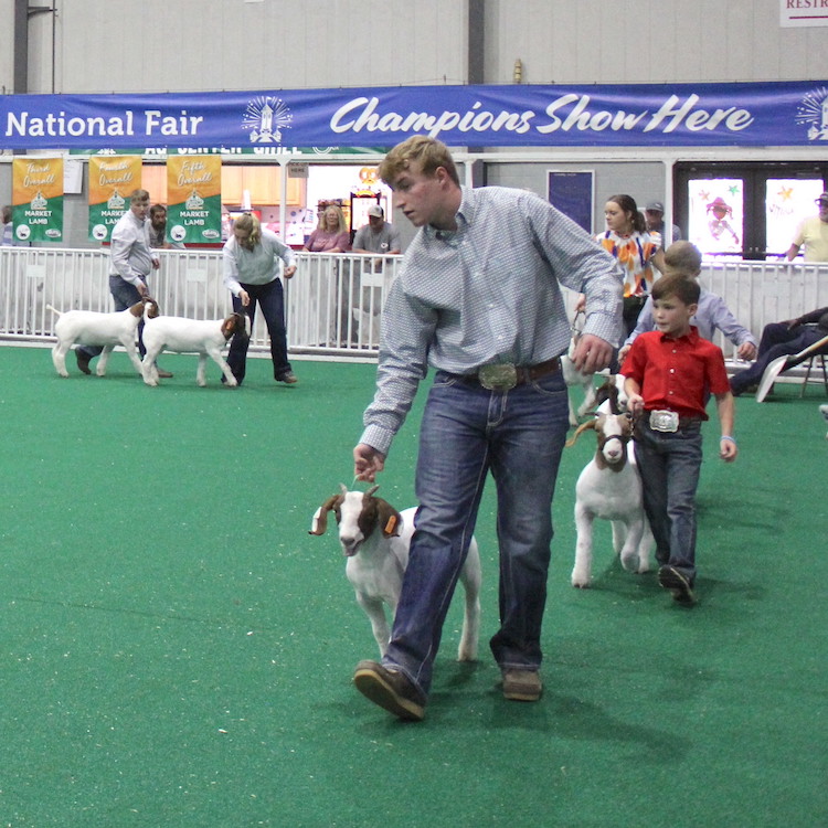 GFB sponsors Georgia Market Goat & Lamb grand champions